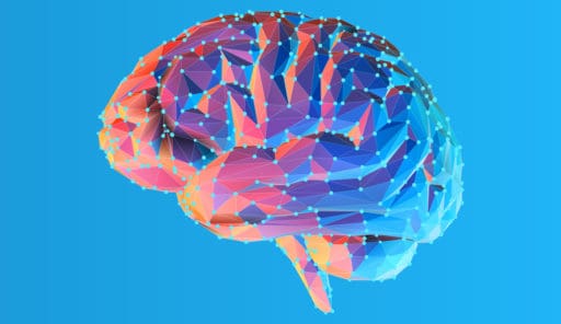 What Part of the Brain Does TMS Stimulate?